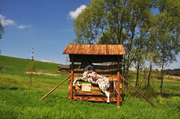 Zdjęcie z Polski - Stajnia w okolicy 