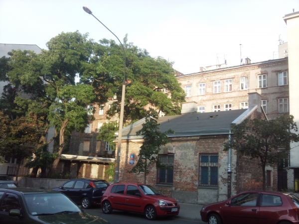 Zdjęcie z Polski - 