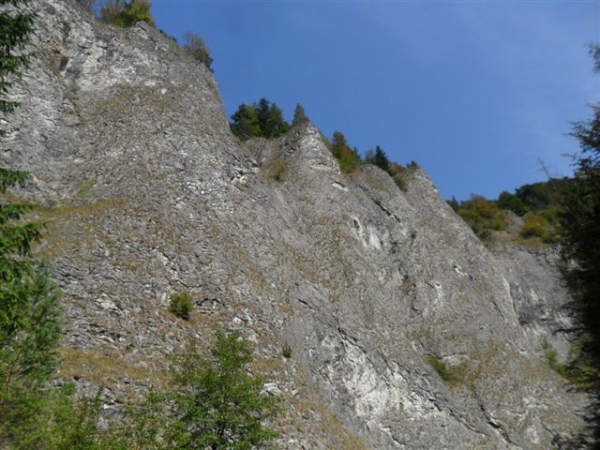Zdjęcie z Polski - W drodze do Leśnicy