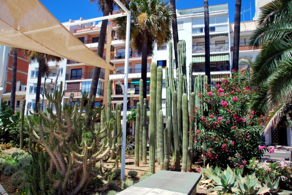 Zdjęcie z Hiszpanii - Estepona