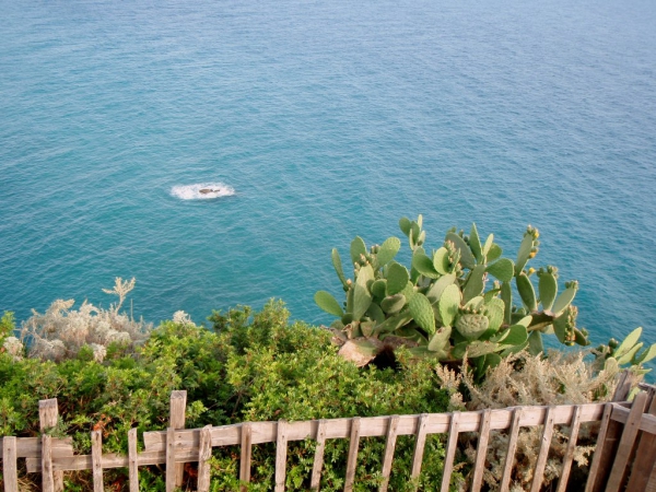 Zdjęcie z Włoch - Capo Vaticano