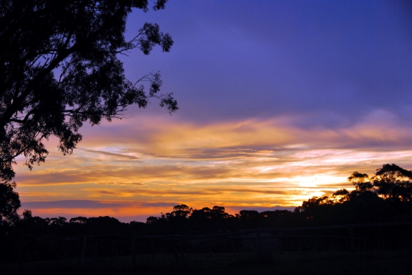 Zdjecie - Australia - Piggott Range - wiosna