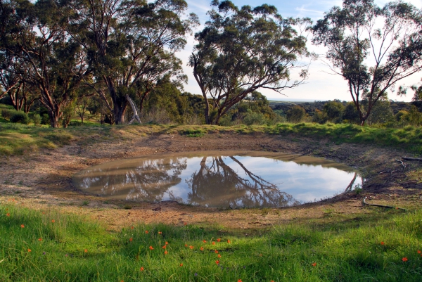 Zdjęcie z Australii - Billabong - czyli