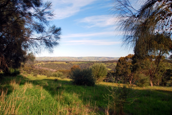 Zdjęcie z Australii - Rezerwat Onkaparinga