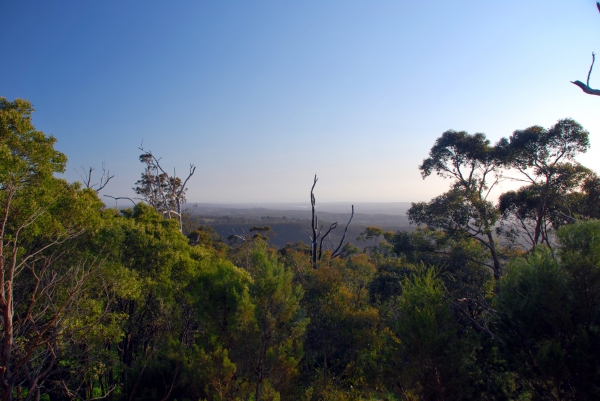 Zdjęcie z Australii - Widok z Mount Lofty