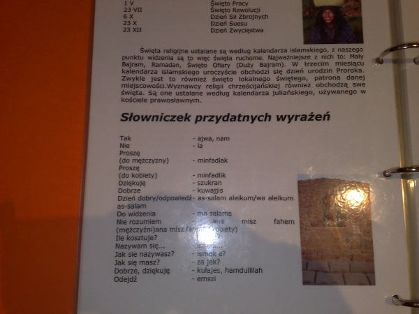 Zdjęcie z Egiptu - 