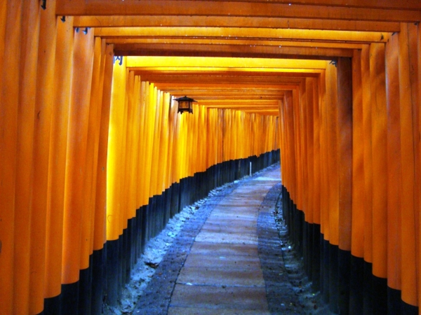 Zdjęcie z Japonii - Torii