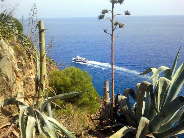 Zdjecie - Hiszpania - Tossa de Mar