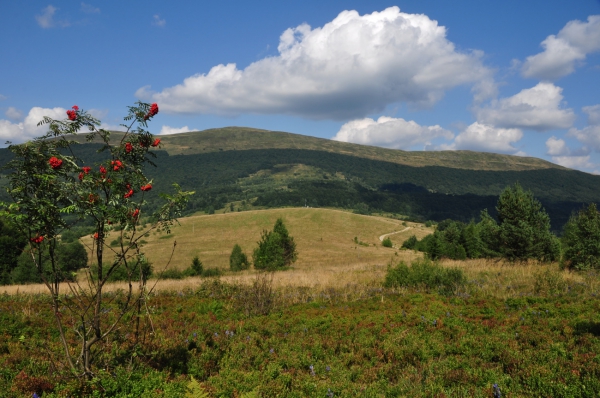Zdjęcie z Polski - widok na Połoninę 