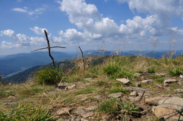 Zdjęcie z Polski - tarnica