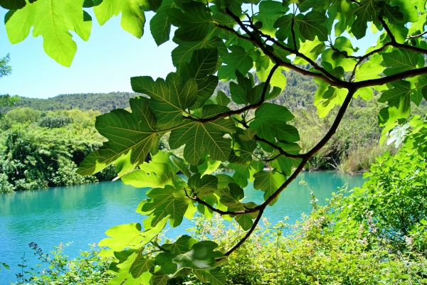 Zdjęcie z Chorwacji - Park Narodowy KRKA