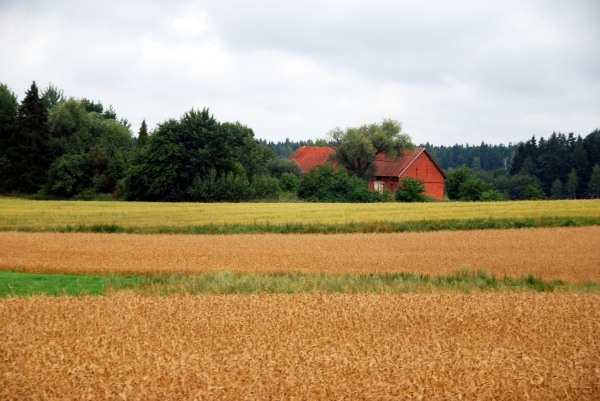 Zdjęcie z Polski - Widok z okna kolejki