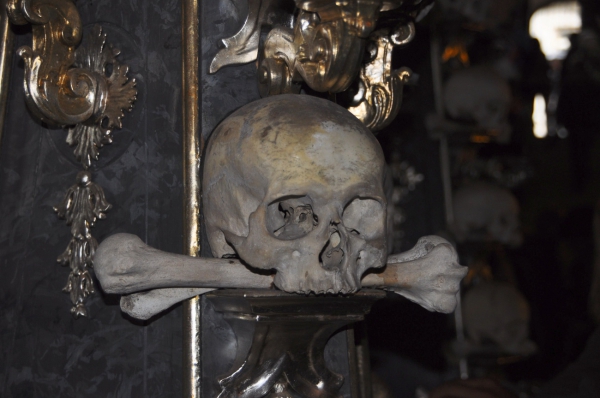 Zdjęcie z Czech - Kutna Hora