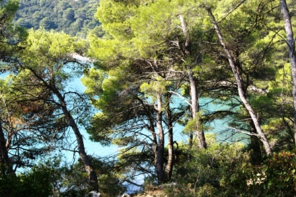 Zdjęcie z Chorwacji - Słone jezioro- Mljet