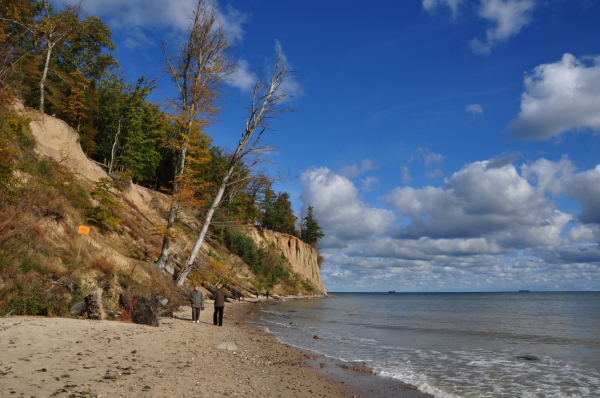 Zdjęcie z Polski - Plaża w Orłowie i klif