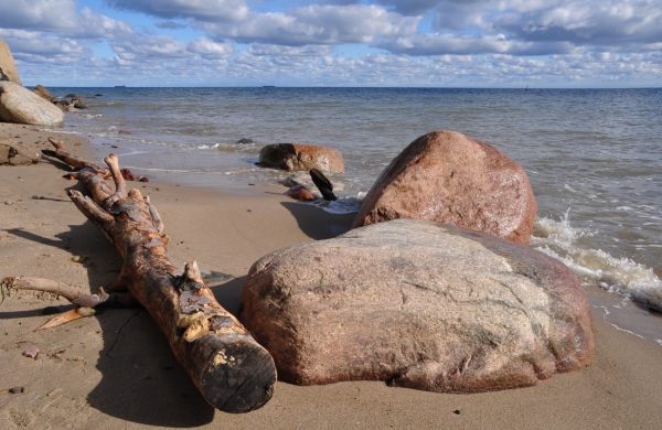 Zdjęcie z Polski - Plaża w Orłowie