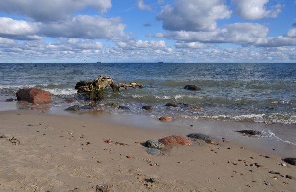 Zdjęcie z Polski - Plaża w Orłowie