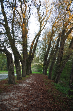 Zdjęcie z Polski - Park w Krokowej