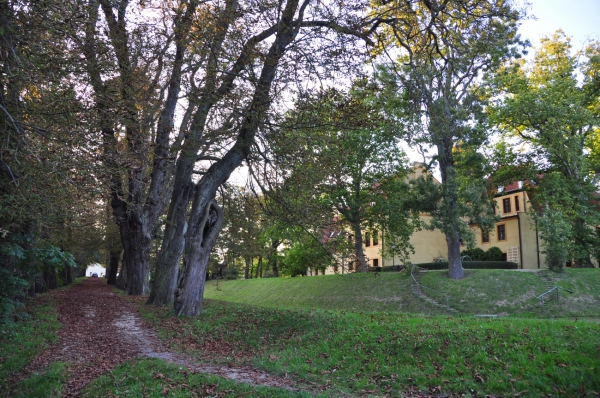 Zdjęcie z Polski - Park w Krokowej