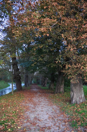 Zdjęcie z Polski - Park w Krokowej