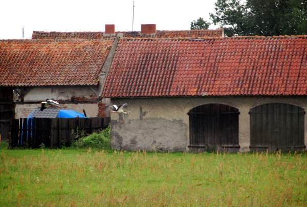 Zdjęcie z Polski - Wies Woszczele