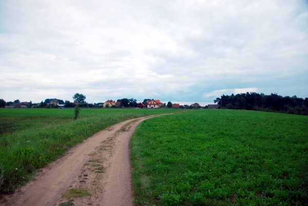Zdjęcie z Polski - Wiejska droga