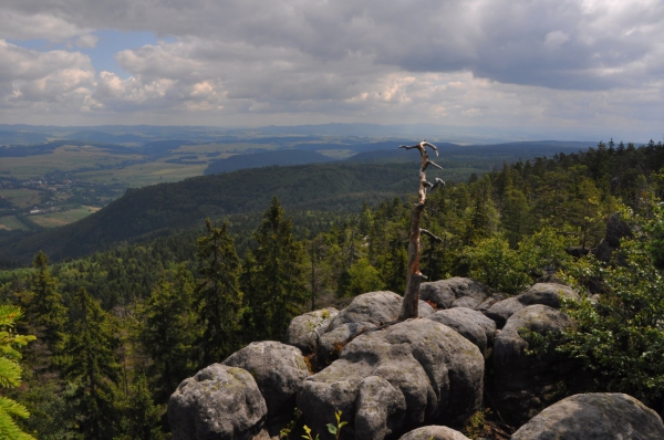 Zdjęcie z Polski - Panorama ze Szczelinica 