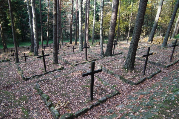 Zdjęcie z Polski - Cmentarz wojenny-Drwęck