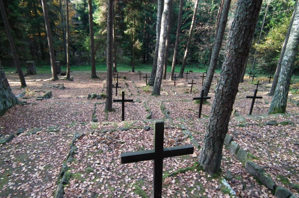 Zdjęcie z Polski - Cmentarz wojenny-Drwęck