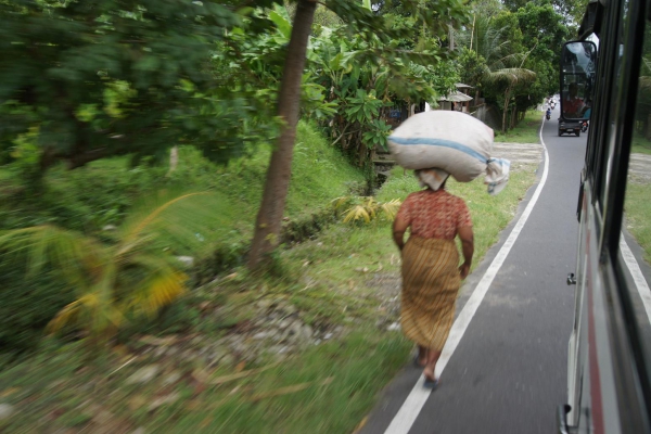 Zdjęcie z Indonezji - 