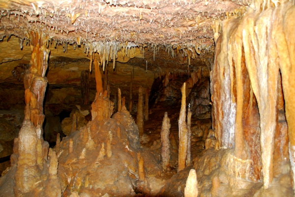 Zdjęcie z Australii - Jaskinia Victoria Cave