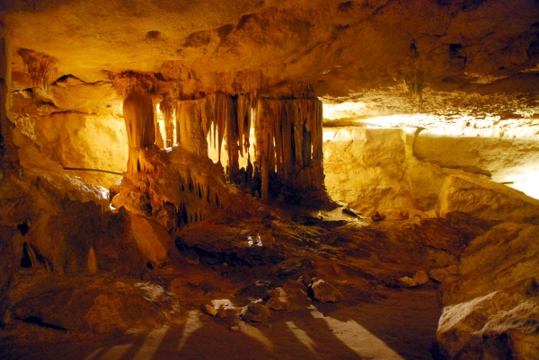 Zdjecie - Australia - Jaskinie Naracoorte