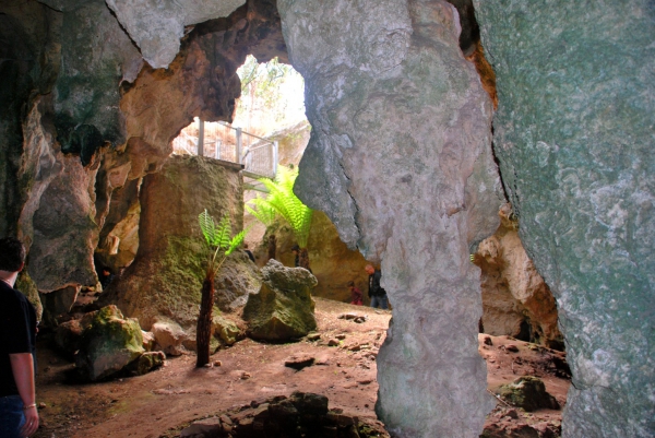 Zdjęcie z Australii - Jaskinia Mokra - Wet Cave