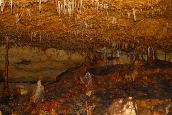 Zdjęcie z Australii - Jaskinia Victoria Cave