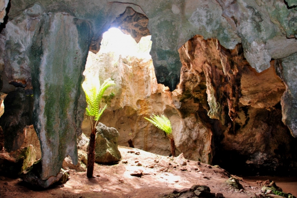 Zdjęcie z Australii - Jaskinia Mokra - Wet Cave