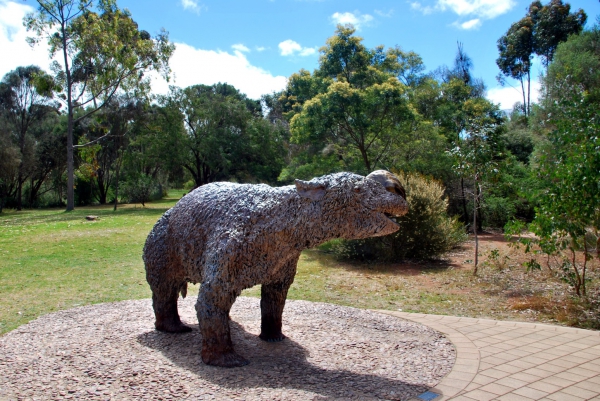 Zdjęcie z Australii - Naturalnej wielkosci 