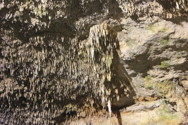 Zdjęcie z Meksyku - cenote