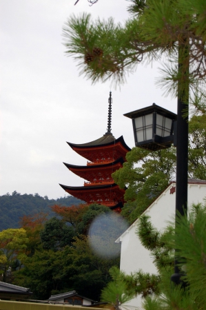 Zdjęcie z Japonii - Miyajima