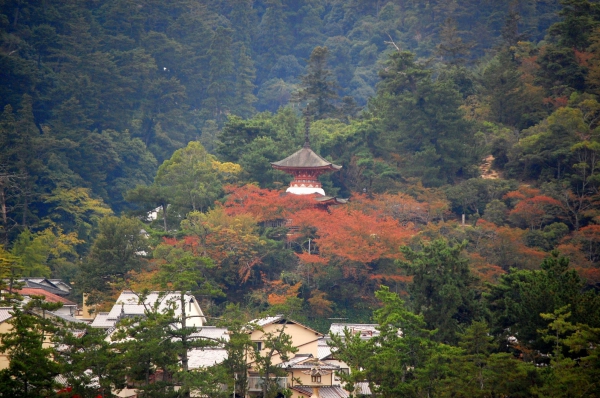 Zdjęcie z Japonii - Miyajima