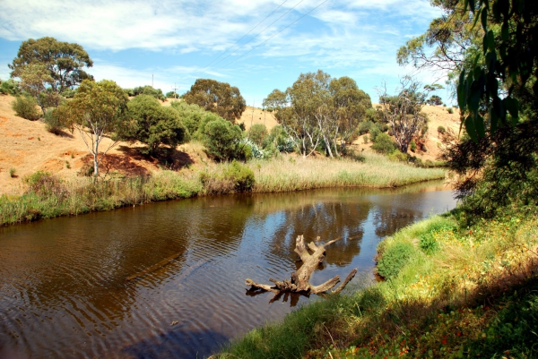 Zdjęcie z Australii - Onkaparinga River
