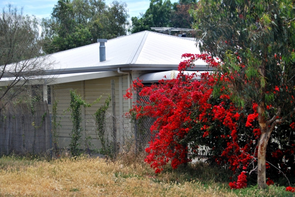 Zdjęcie z Australii - Old Noarlunga