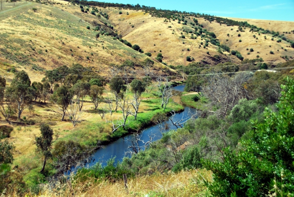 Zdjęcie z Australii - Onkaparinga River