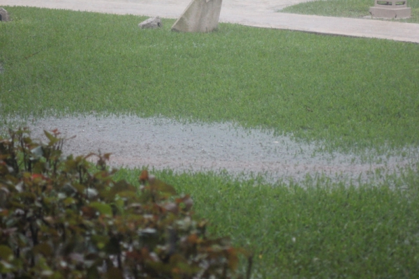 Zdjęcie z Meksyku - 