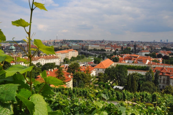 Zdjęcie z Czech - Hradczany