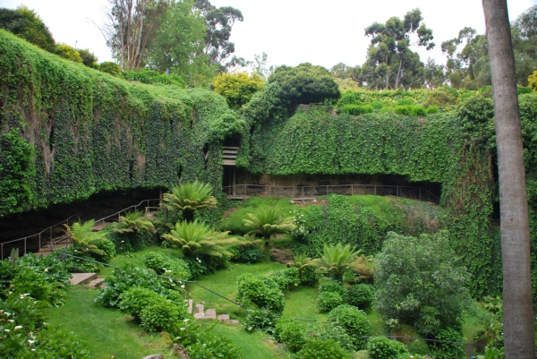 Zdjęcie z Australii - Umpherston Sinkhole 