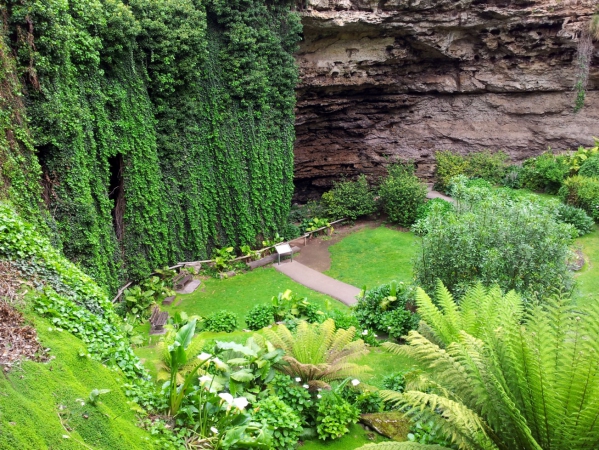 Zdjęcie z Australii - Umpherston Sinkhole 