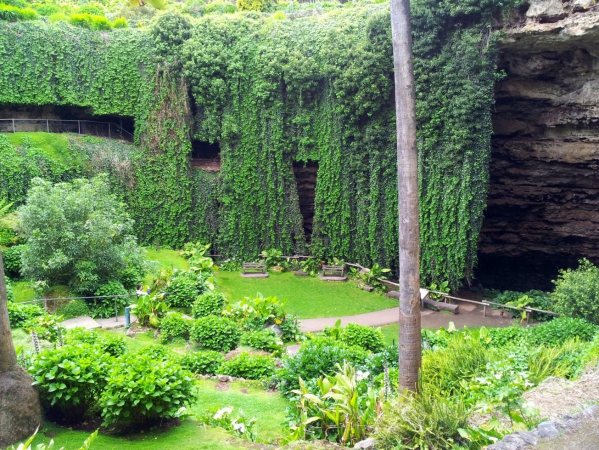 Zdjęcie z Australii - Ogrod Umpherston Sinkhole