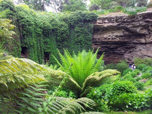 Zdjęcie z Australii - Ogrod w zarwanej jaskini