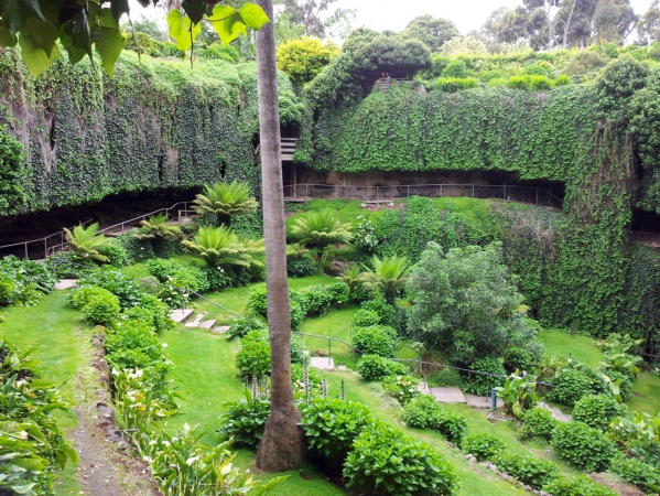 Zdjęcie z Australii - Ogrod Umpherston Sinkhole