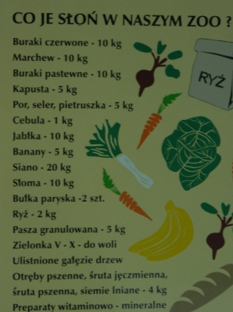 Zdjęcie z Polski - 